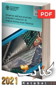 Advances and Best Practices in Bycatch Reduction in Tropical Shrimp-trawl Fisheries