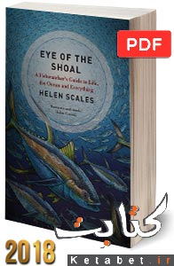 Eye of the Shoal: A Fishwatcher's Guide to Life, the Ocean and Everything