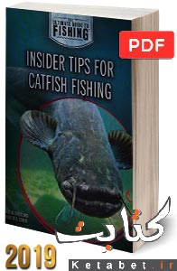 Insider Tips for Catfish Fishing