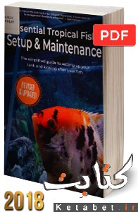 Essential Tropical Fish Setup & Maintenance