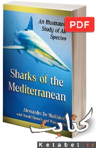 Sharks of the Mediterranean