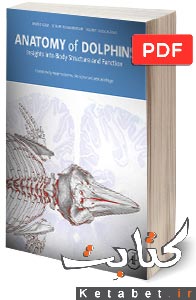 Anatomy of Dolphins. Insights Into Body Structure and Function