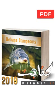Beluga Sturgeons 