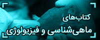 تبلیغ شما