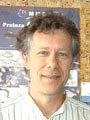 Yves Henocque