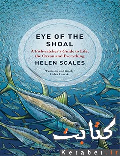 EYE OF THE SHOAL_a fishwatcher's guide to life, the oceans and everything