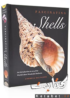 Fascinating Shells_An Introduction to 121 of the World’s Most Wonderful Mollusks