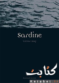 Sardine
