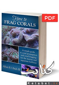 How to Frag Corals
