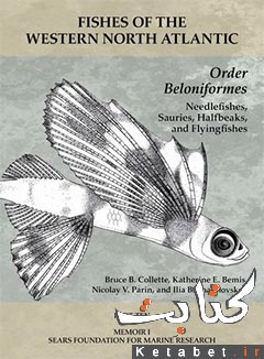 Order Beloniformes: Needlefishes, Sauries, Halfbeaks, and Flyingfishes
