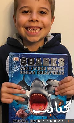 Sharks and Other Deadly Ocean Creatures