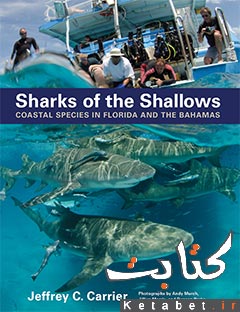 Sharks of the Shallows_Coastal Species in Florida and the Bahamas
