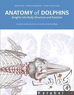 Anatomy of Dolphins. Insights Into Body Structure and Function