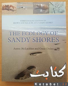 The Ecology of Sandy Shores