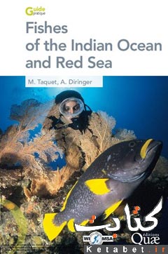 Fishes of the Indian Ocean and Red Sea