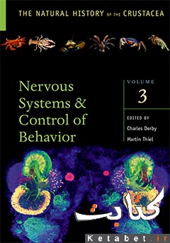 Crustacean nervous systems and their control of behavior