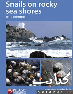 Snails on rocky sea shores