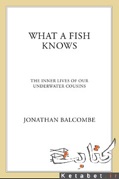 What a fish knows