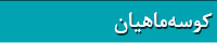 کتابهای کوسه ماهیان